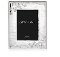 Frame Ottaviani Edera in Silver 4011S - 4011S